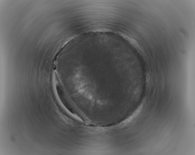X0000113880881200910221354