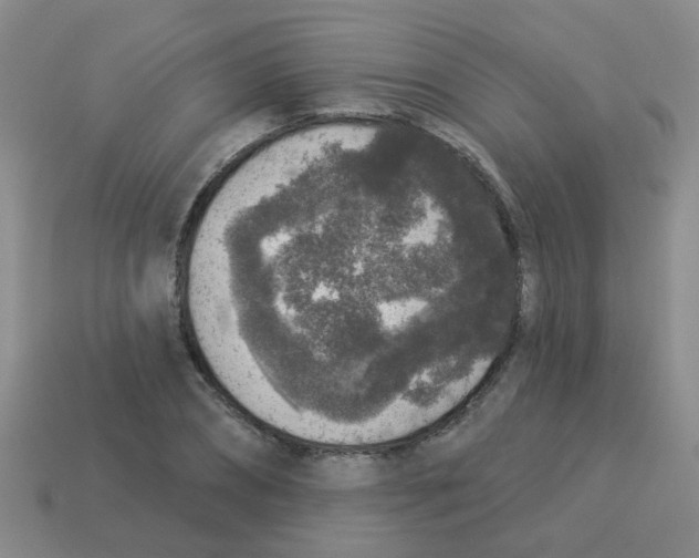 X0000113880882200910221354