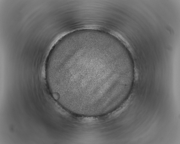 X0000113880883200910221354