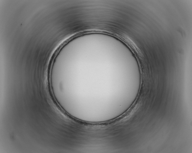 X0000113880884200910221354
