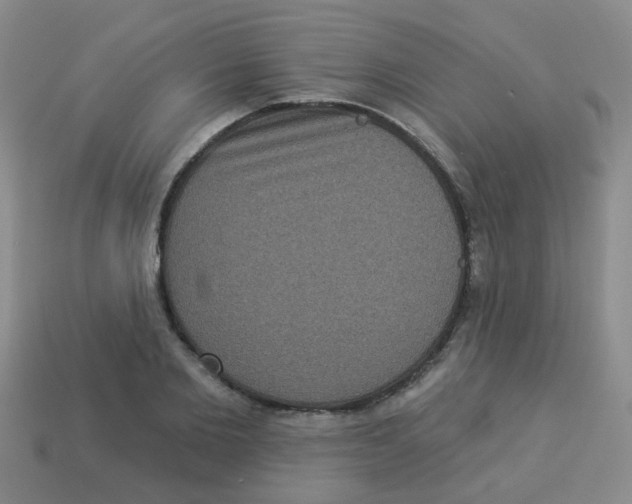 X0000113880885200910221354
