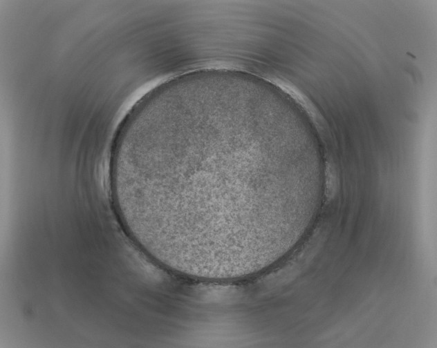 X0000113880886200910221354