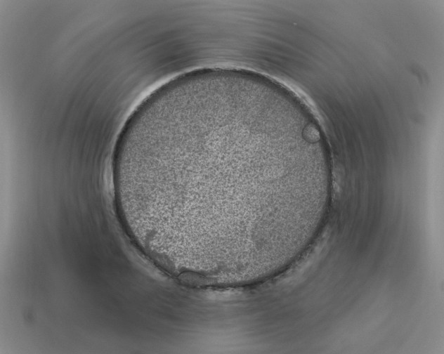 X0000113880887200910221354