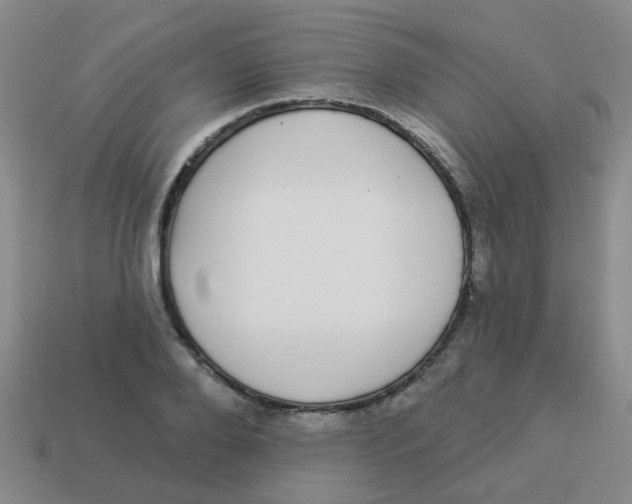 X0000113880888200910221354