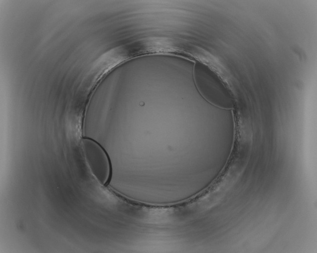 X0000113880889200910221353