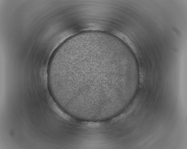 X0000113880890200910221353