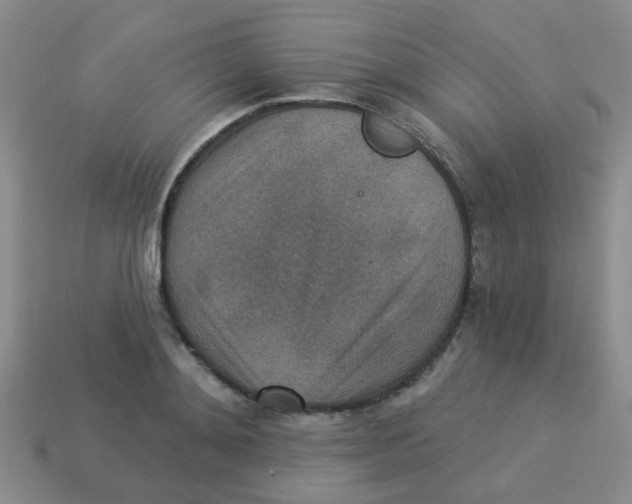 X0000113880892200910221353