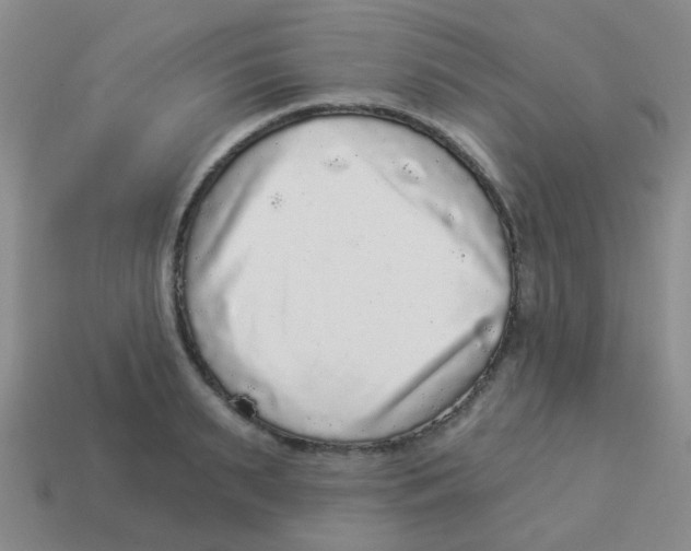 X0000113880895200910221353