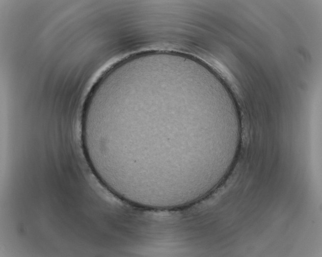 X0000113880896200910221353