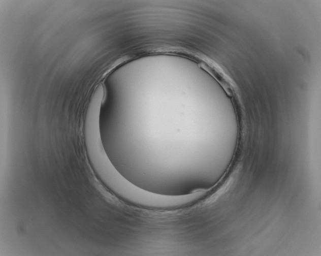 X0000113880897200910221353