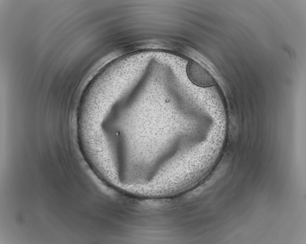 X0000113880898200910221353