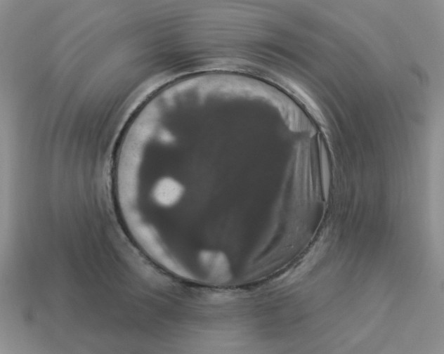 X0000113880899200910221353