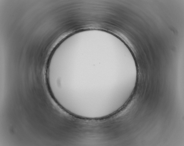 X0000113880901200910221353