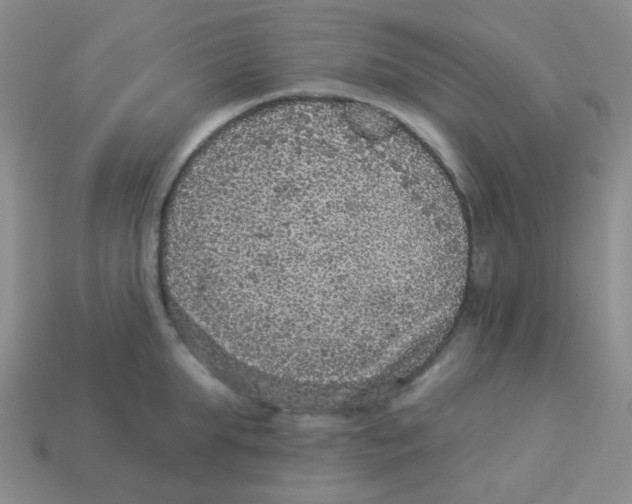 X0000113880903200910221353