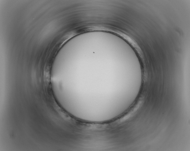 X0000113880905200910221353