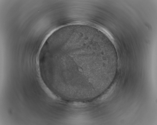 X0000113880907200910221353