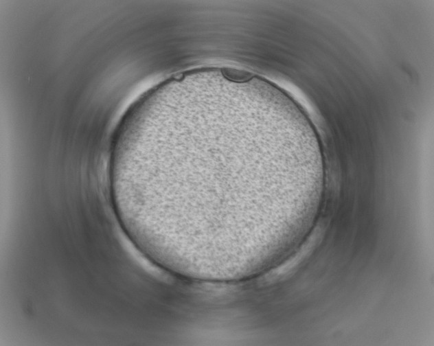 X0000113880910200910221353