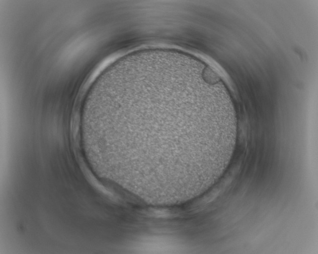 X0000113880911200910221353
