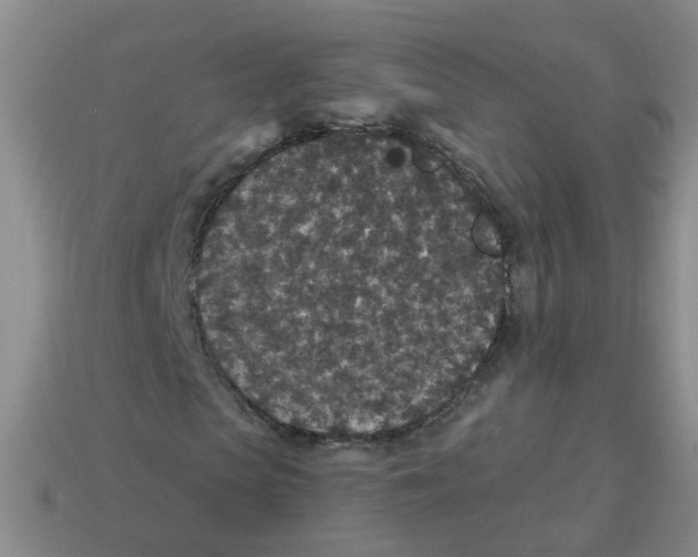 X0000113880913200910221352
