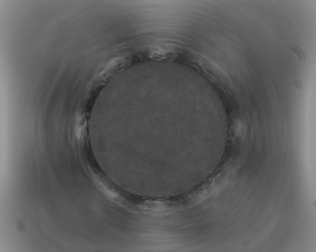 X0000113880914200910221352