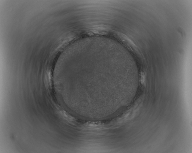 X0000113880915200910221352