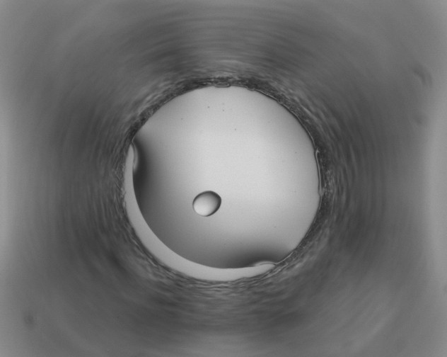 X0000113880916200910221352