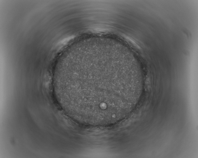 X0000113880917200910221352