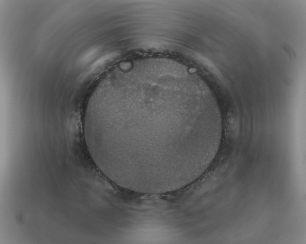 X0000113880918200910221352
