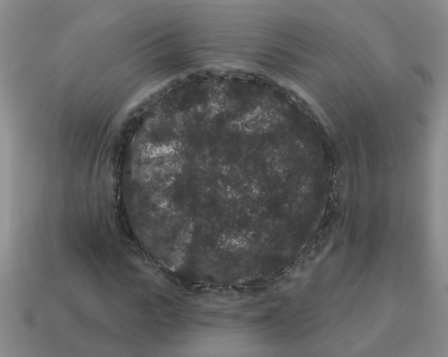 X0000113880919200910221352