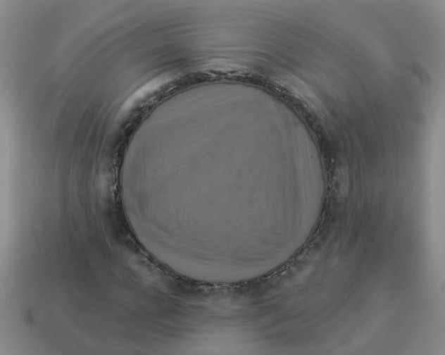 X0000113880920200910221353