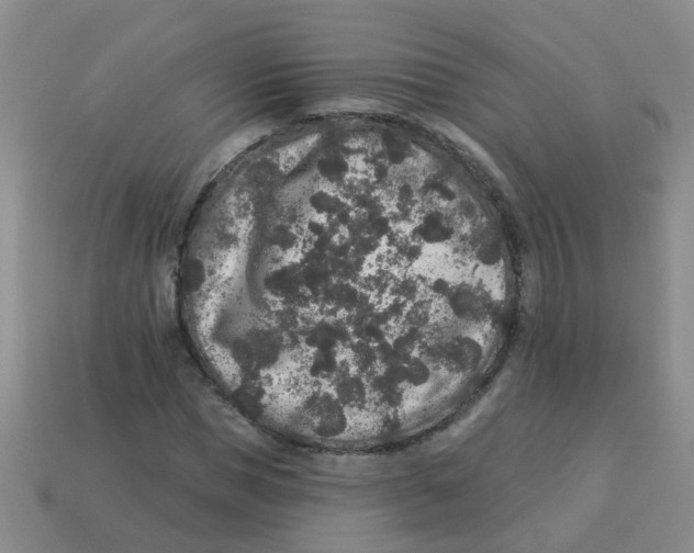 X0000113880921200910221353