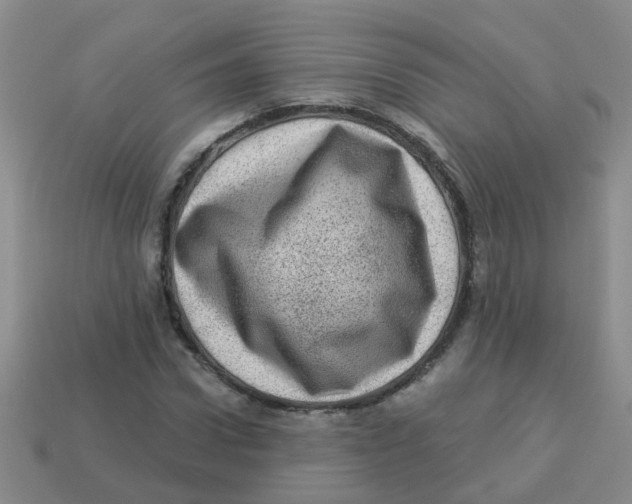 X0000113880922200910221353