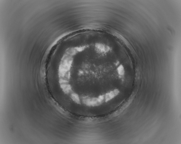 X0000113880923200910221353
