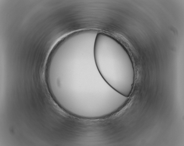X0000113880924200910221353