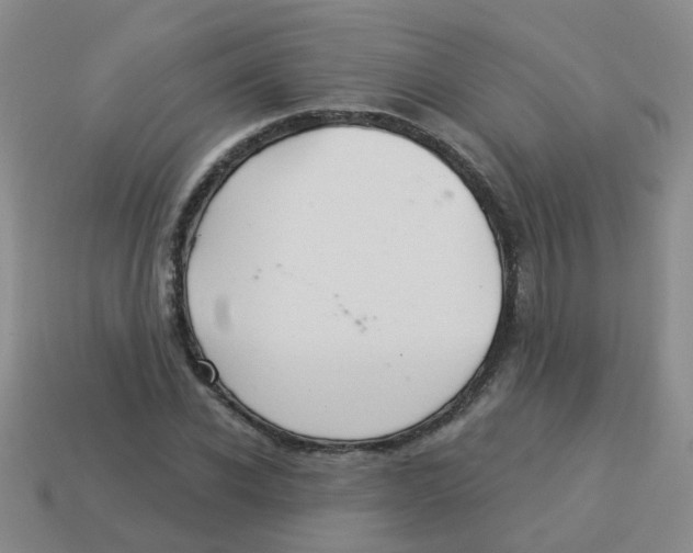 X0000113880926200910221353