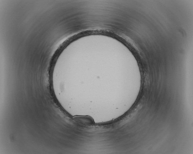 X0000113880927200910221353