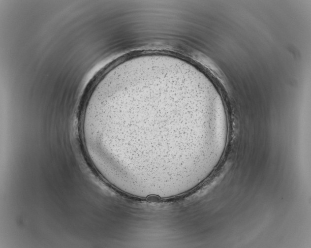 X0000113880928200910221353