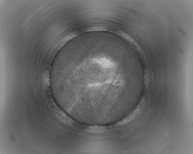 X0000113880929200910221353