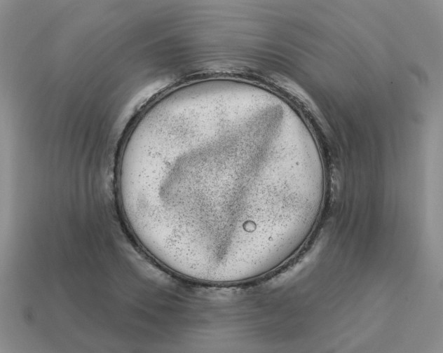 X0000113880930200910221353