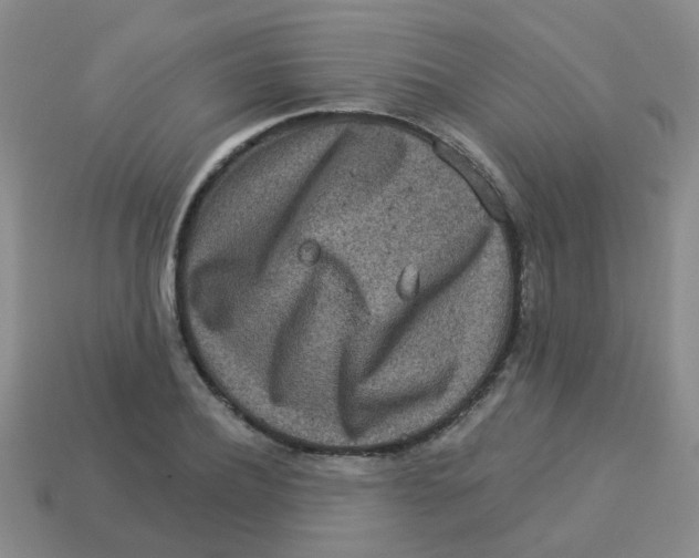 X0000113880932200910221353