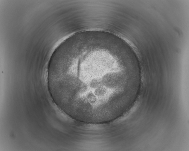 X0000113880933200910221353