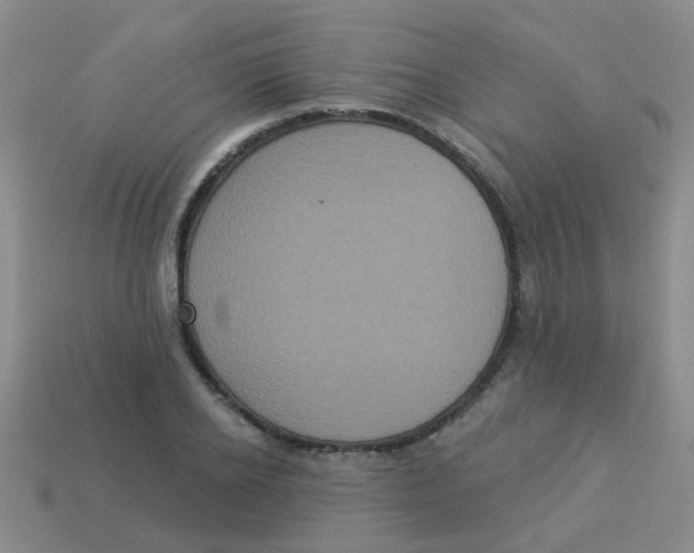 X0000113880934200910221353