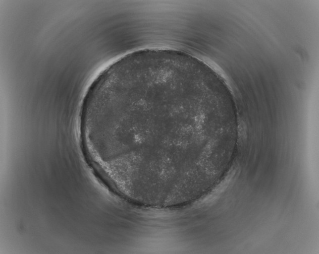 X0000113880935200910221353