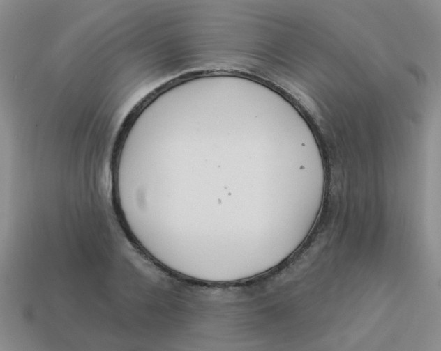 X0000113880936200910221353