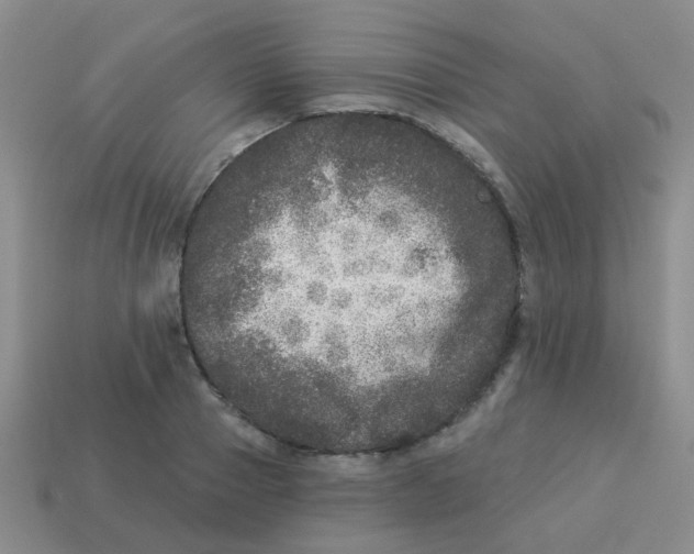 X0000113880937200910221353