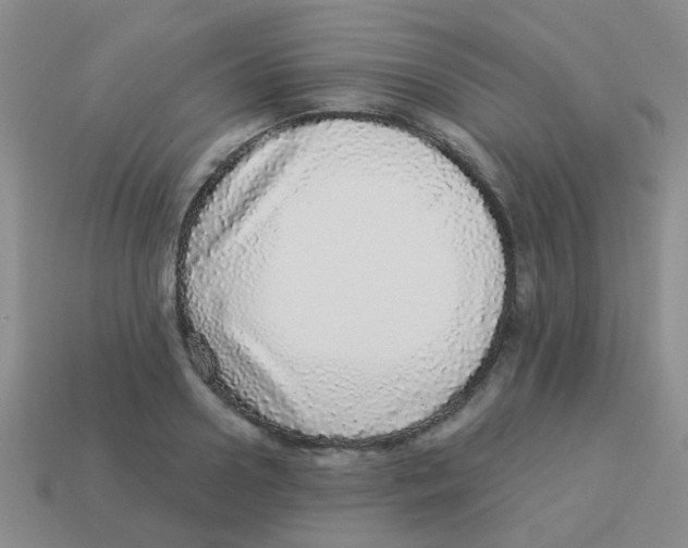 X0000113880938200910221353