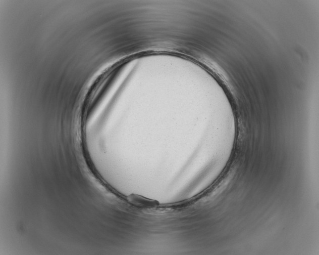 X0000113880939200910221353