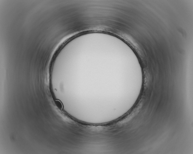 X0000113880940200910221353