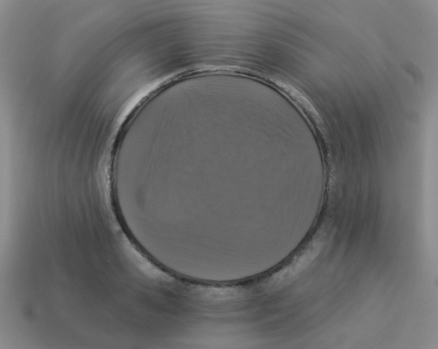 X0000113880941200910221353