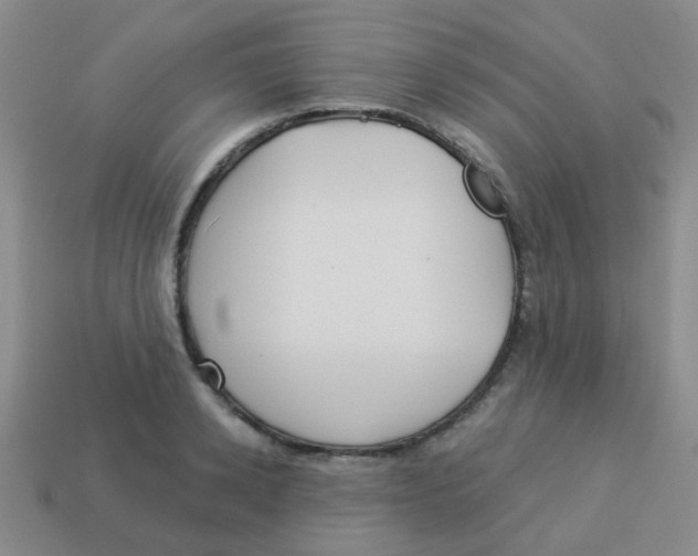 X0000113880942200910221353